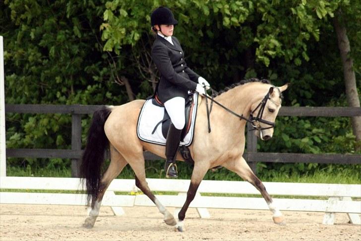 Rideklubben Falken d. 29.05.2010 - X-FAKTOR CUP KVALIFIKATION billede 12