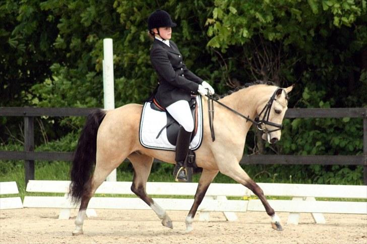 Rideklubben Falken d. 29.05.2010 - X-FAKTOR CUP KVALIFIKATION billede 13