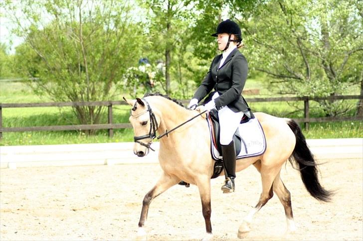 Rideklubben Falken d. 29.05.2010 - X-FAKTOR CUP KVALIFIKATION billede 21