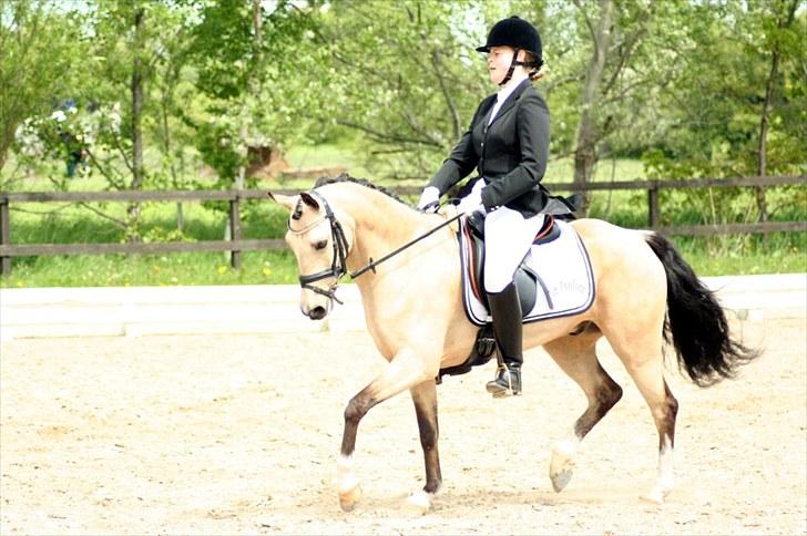 Rideklubben Falken d. 29.05.2010 - X-FAKTOR CUP KVALIFIKATION billede 22