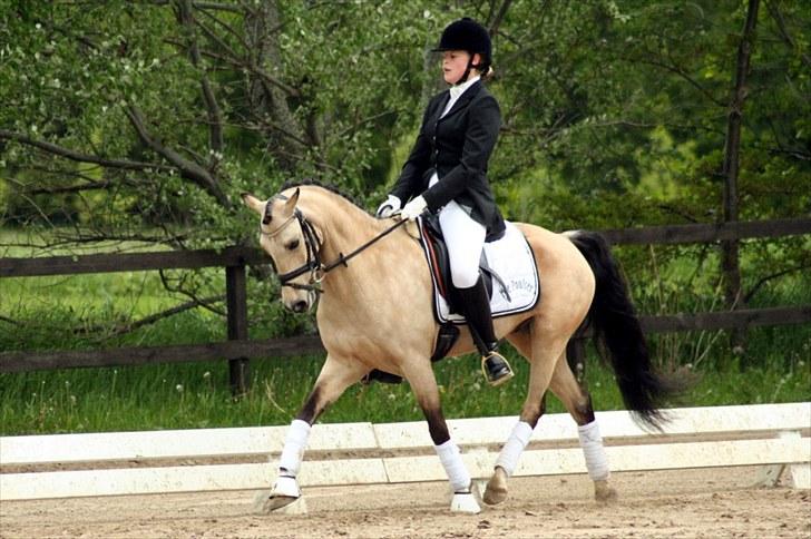 Rideklubben Falken d. 29.05.2010 - X-FAKTOR CUP KVALIFIKATION billede 25