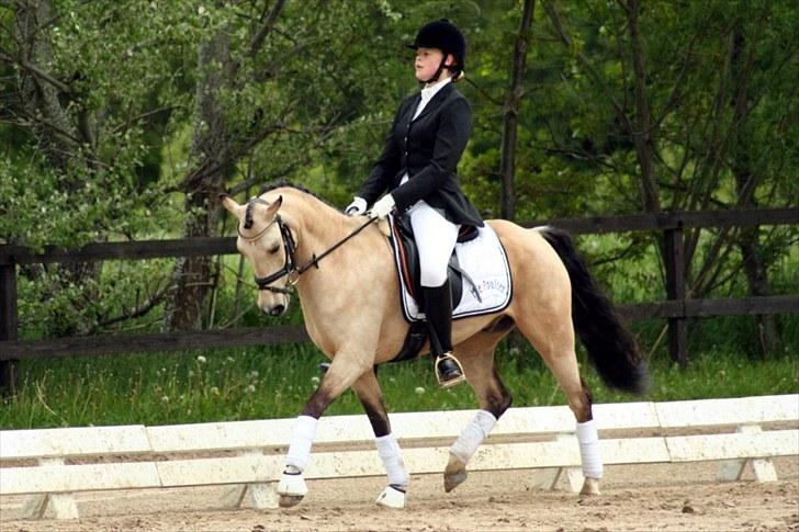 Rideklubben Falken d. 29.05.2010 - X-FAKTOR CUP KVALIFIKATION billede 26