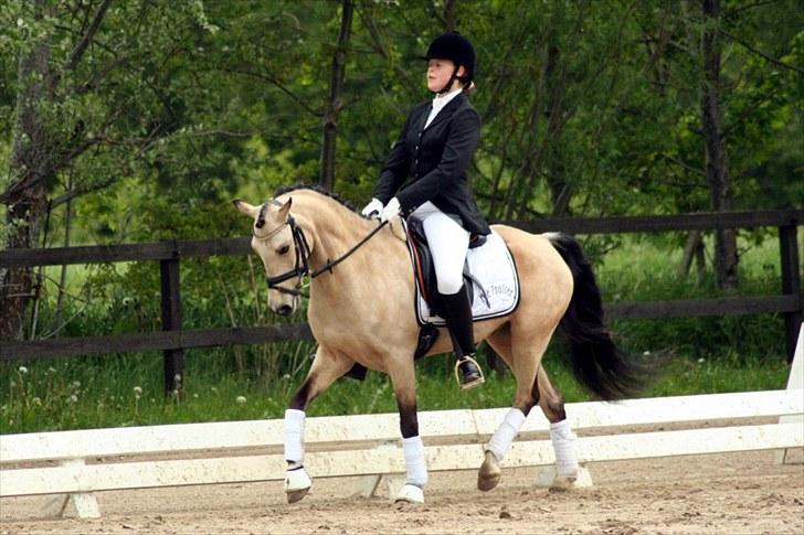 Rideklubben Falken d. 29.05.2010 - X-FAKTOR CUP KVALIFIKATION billede 27