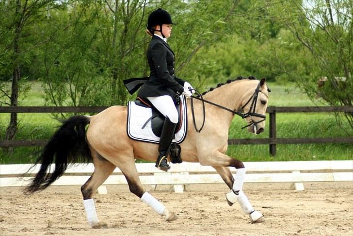 Rideklubben Falken d. 29.05.2010 - X-FAKTOR CUP KVALIFIKATION billede 29