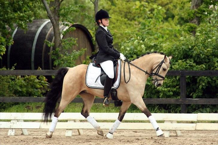 Rideklubben Falken d. 29.05.2010 - X-FAKTOR CUP KVALIFIKATION billede 30