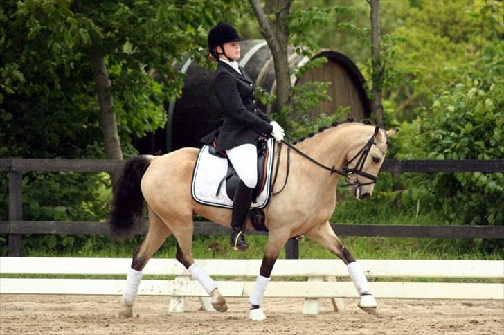 Rideklubben Falken d. 29.05.2010 - X-FAKTOR CUP KVALIFIKATION billede 31