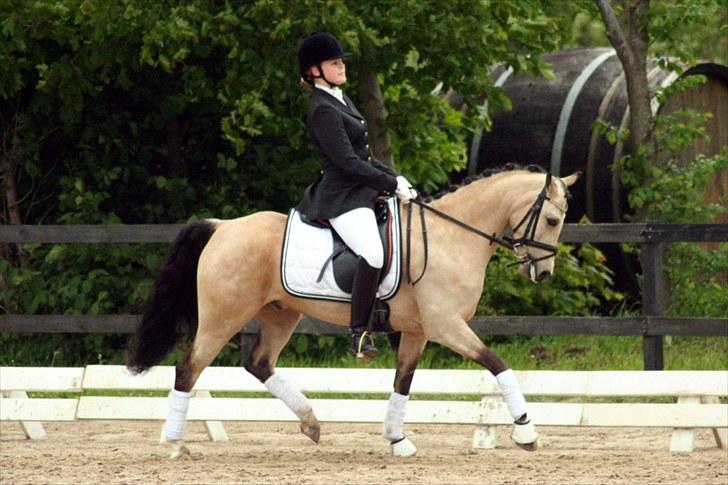 Rideklubben Falken d. 29.05.2010 - X-FAKTOR CUP KVALIFIKATION billede 32