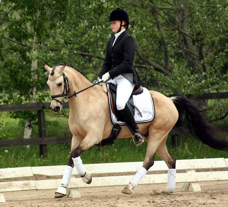 Rideklubben Falken d. 29.05.2010 - X-FAKTOR CUP KVALIFIKATION billede 33