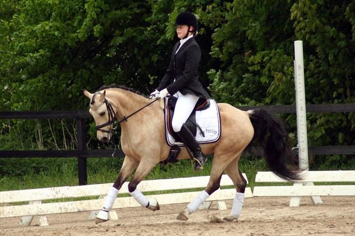 Rideklubben Falken d. 29.05.2010 - X-FAKTOR CUP KVALIFIKATION billede 34