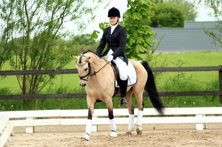 Rideklubben Falken d. 29.05.2010 - X-FAKTOR CUP KVALIFIKATION billede 35