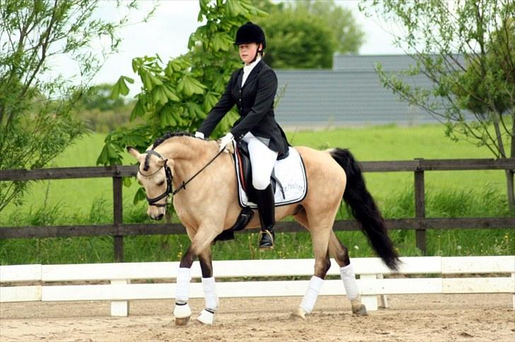 Rideklubben Falken d. 29.05.2010 - X-FAKTOR CUP KVALIFIKATION billede 36