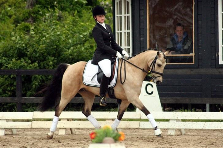 Rideklubben Falken d. 29.05.2010 - X-FAKTOR CUP KVALIFIKATION billede 37