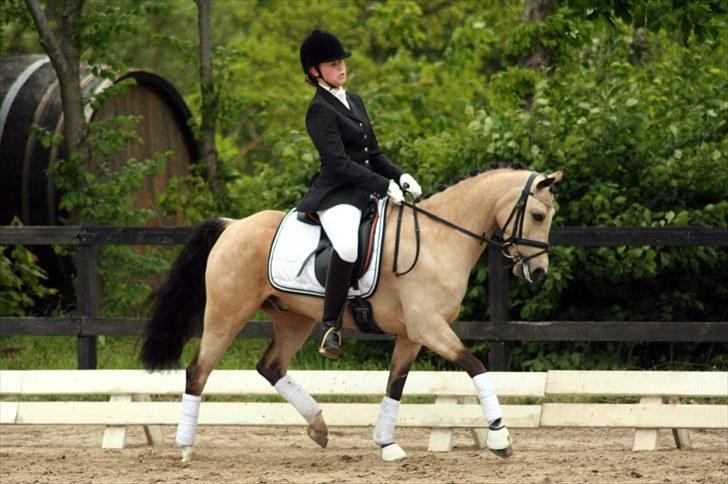 Rideklubben Falken d. 29.05.2010 - X-FAKTOR CUP KVALIFIKATION billede 38