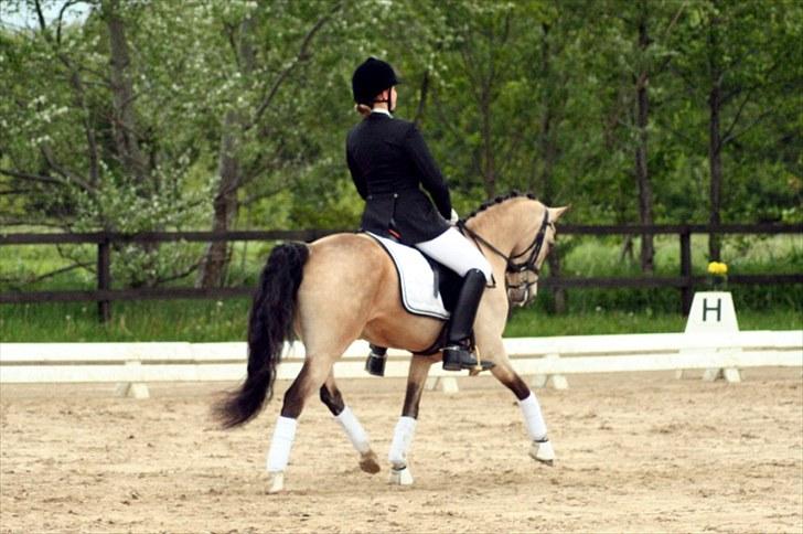 Rideklubben Falken d. 29.05.2010 - X-FAKTOR CUP KVALIFIKATION billede 39