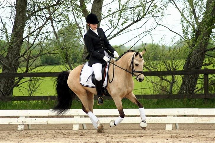 Rideklubben Falken d. 29.05.2010 - X-FAKTOR CUP KVALIFIKATION billede 40