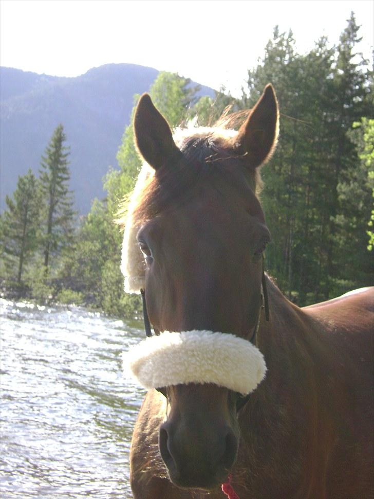Inga og Pathie på stranden - verdens største legedyr! :D  billede 11