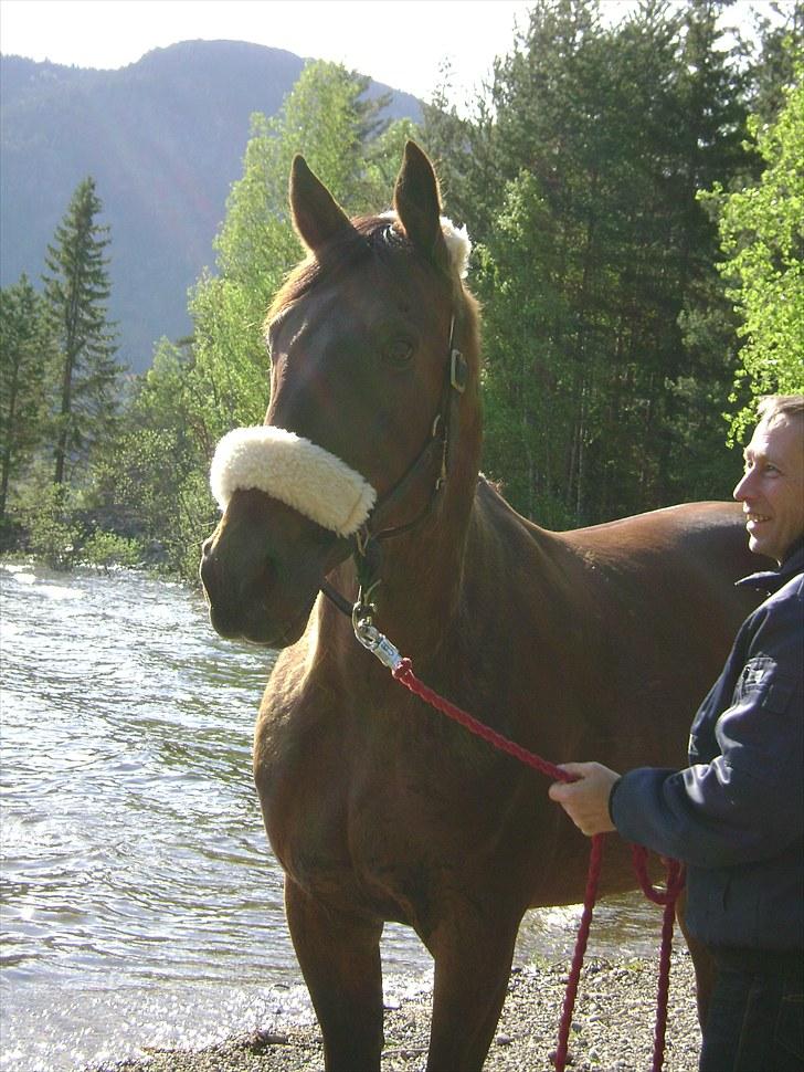 Inga og Pathie på stranden - verdens største legedyr! :D  billede 12