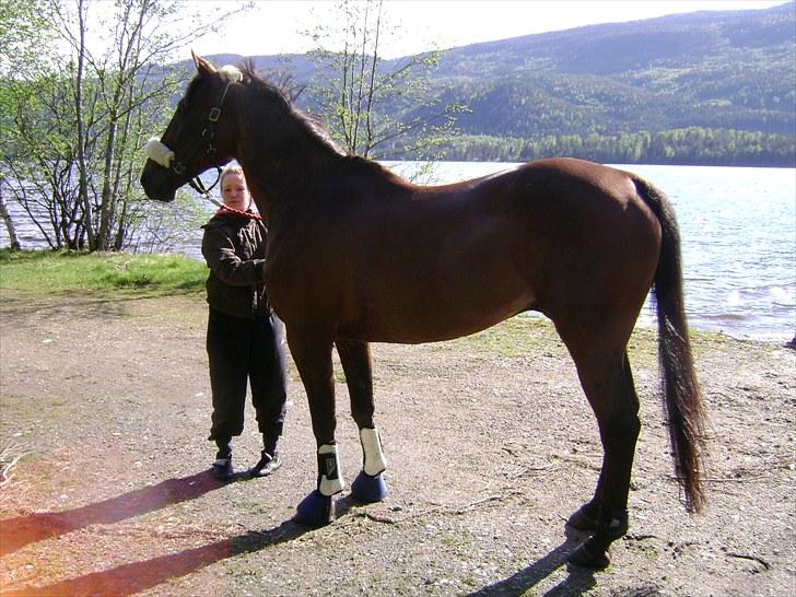 Inga og Pathie på stranden - verdens største legedyr! :D  - FOTO : avis-mand billede 13