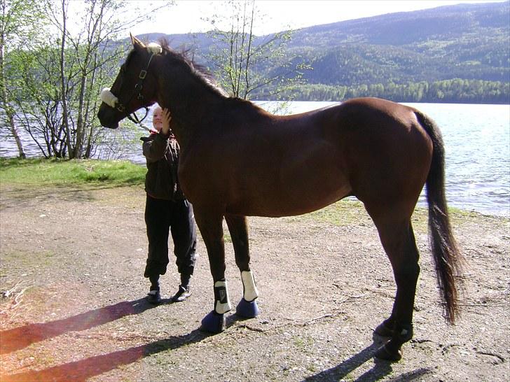 Inga og Pathie på stranden - verdens største legedyr! :D  - FOTO : avis-mand billede 14