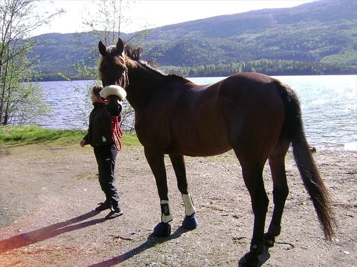 Inga og Pathie på stranden - verdens største legedyr! :D  - FOTO : avis-mand billede 15