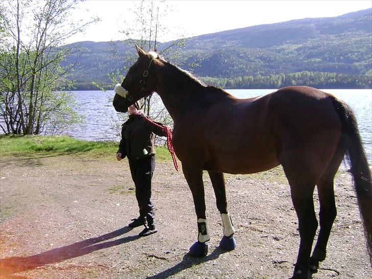 Inga og Pathie på stranden - verdens største legedyr! :D  - FOTO : avis-mand billede 16