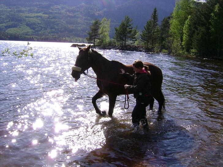Inga og Pathie på stranden - verdens største legedyr! :D  - FOTO : avis-mand billede 18