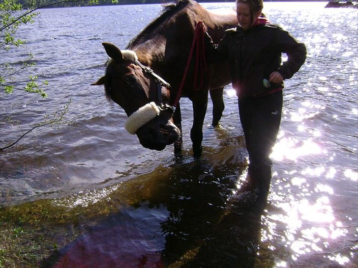 Inga og Pathie på stranden - verdens største legedyr! :D  - FOTO : avis-mand billede 20