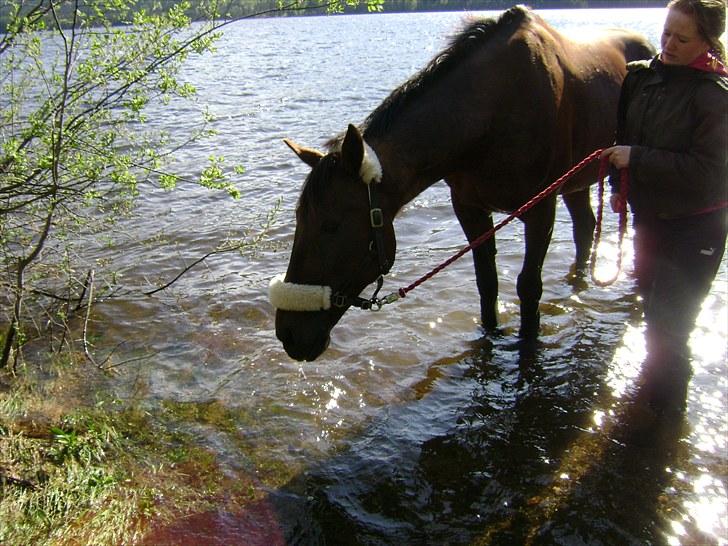 Inga og Pathie på stranden - verdens største legedyr! :D  - FOTO : avis-mand billede 22