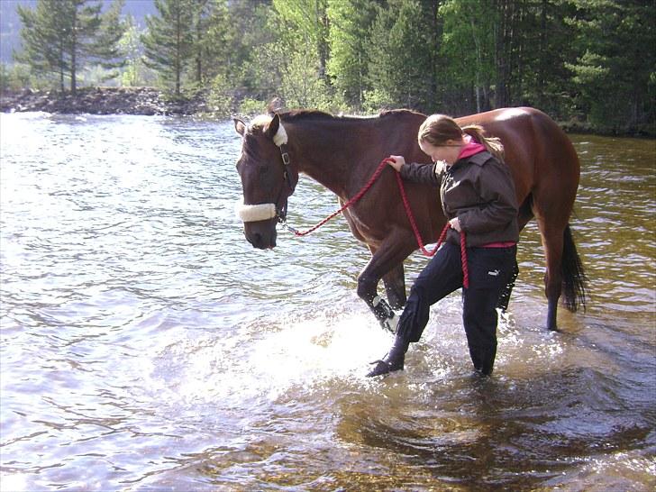 Inga og Pathie på stranden - verdens største legedyr! :D  - FOTO : avis-mand billede 32