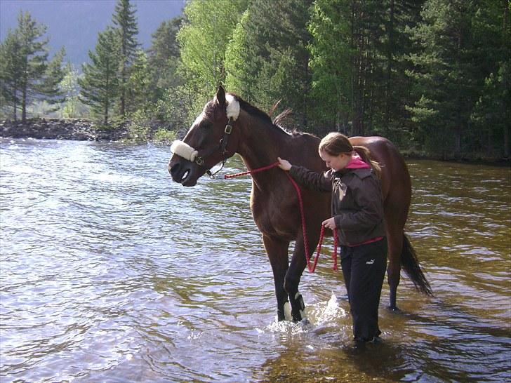 Inga og Pathie på stranden - verdens største legedyr! :D  - FOTO : avis-mand billede 34