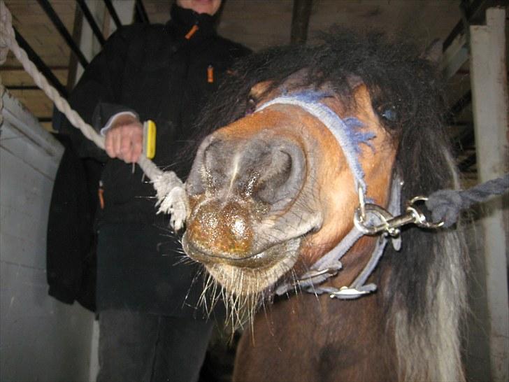 Lakrids sliksten NAMXD billede 2