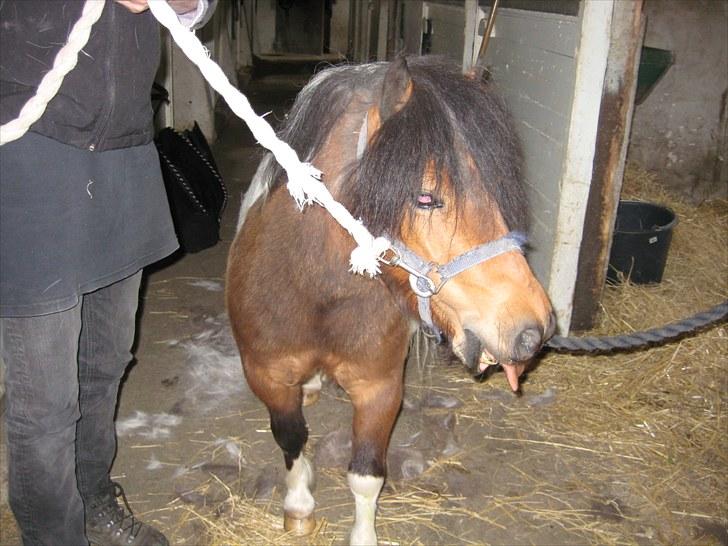 Lakrids sliksten NAMXD billede 3