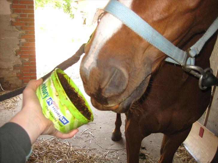 Lakrids sliksten NAMXD billede 4