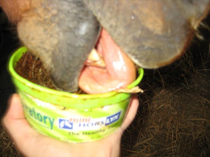 Lakrids sliksten NAMXD billede 5