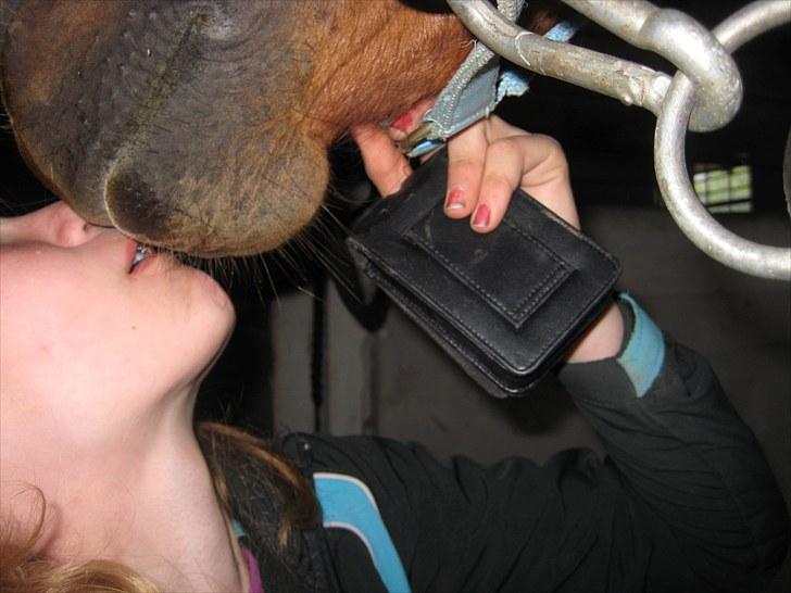 Lakrids sliksten NAMXD billede 6