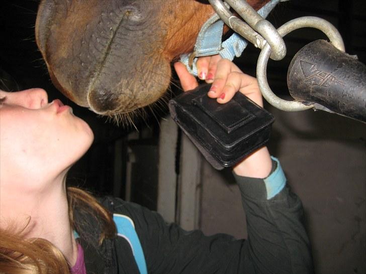 Lakrids sliksten NAMXD billede 7