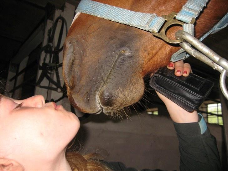 Lakrids sliksten NAMXD billede 9