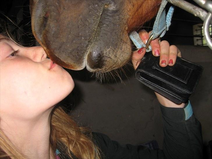 Lakrids sliksten NAMXD billede 10