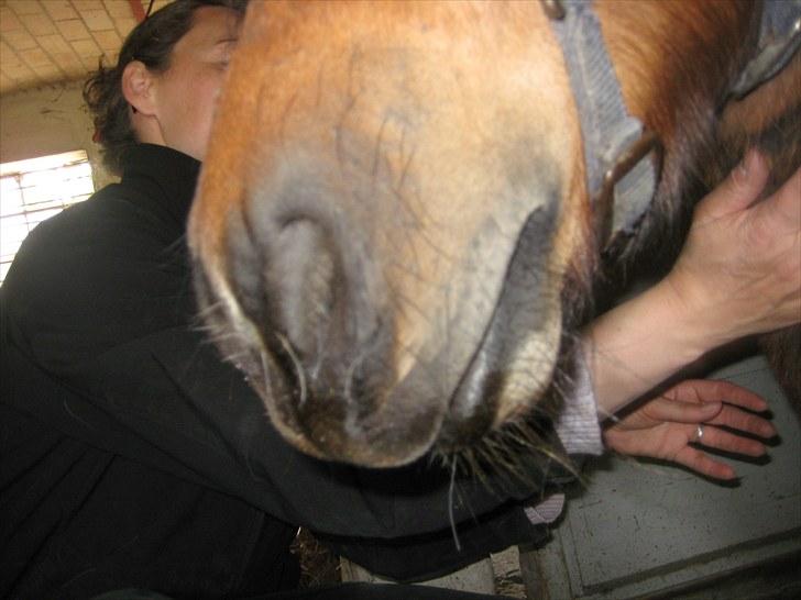 Lakrids sliksten NAMXD billede 11