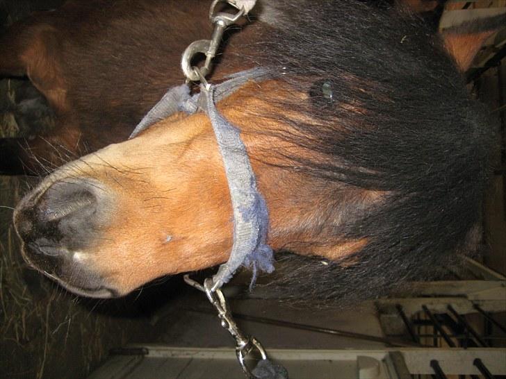 Lakrids sliksten NAMXD billede 12