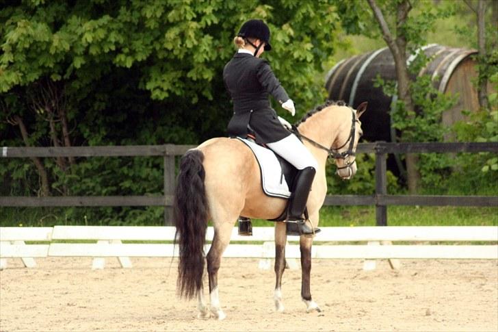 Rideklubben Falken d. 30.05.2010 - X-FAKTOR CUP FINALE billede 1