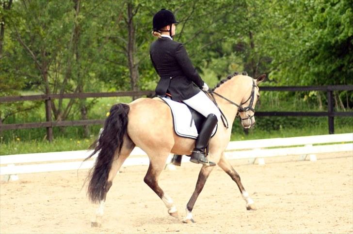 Rideklubben Falken d. 30.05.2010 - X-FAKTOR CUP FINALE billede 2