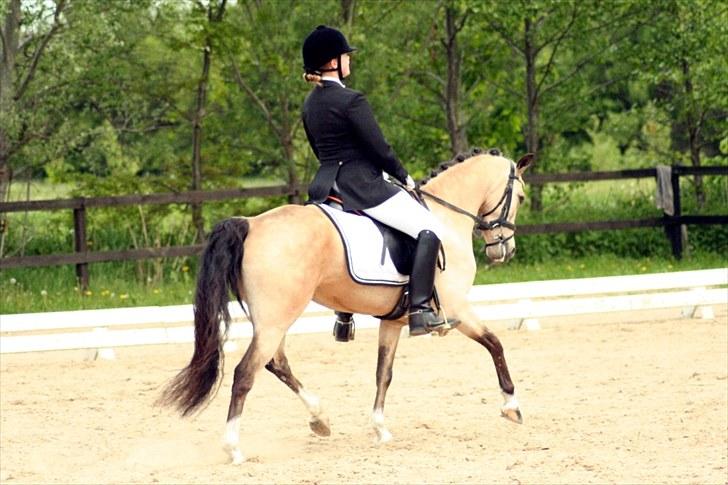 Rideklubben Falken d. 30.05.2010 - X-FAKTOR CUP FINALE billede 3