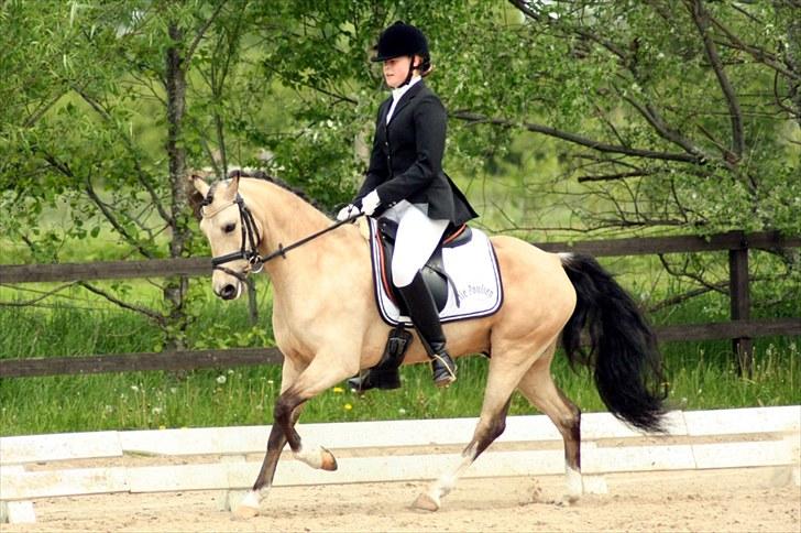 Rideklubben Falken d. 30.05.2010 - X-FAKTOR CUP FINALE billede 4