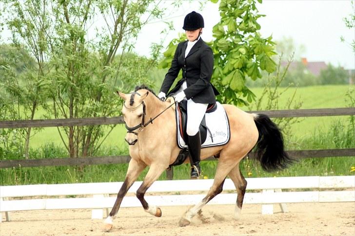 Rideklubben Falken d. 30.05.2010 - X-FAKTOR CUP FINALE billede 5