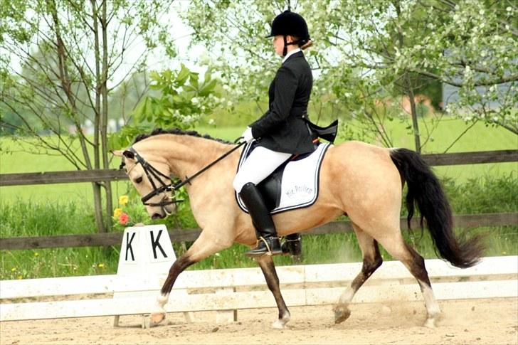 Rideklubben Falken d. 30.05.2010 - X-FAKTOR CUP FINALE billede 6