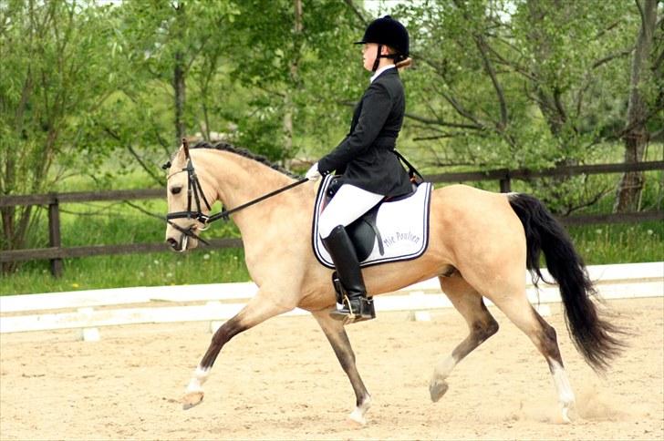 Rideklubben Falken d. 30.05.2010 - X-FAKTOR CUP FINALE billede 7