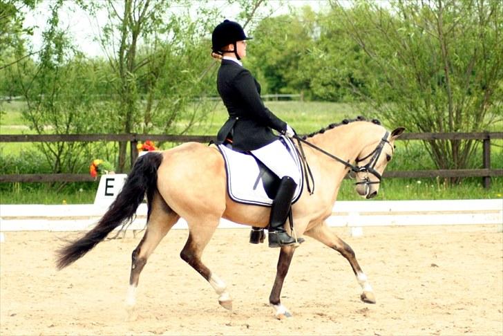 Rideklubben Falken d. 30.05.2010 - X-FAKTOR CUP FINALE billede 8