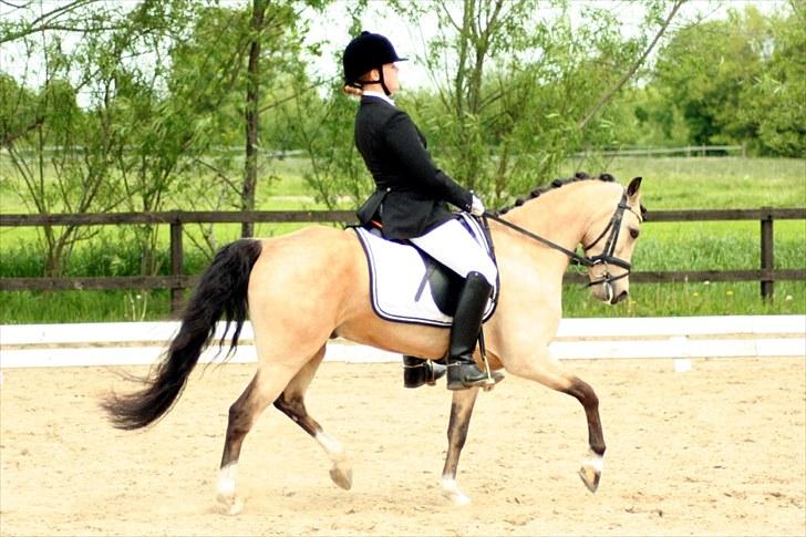 Rideklubben Falken d. 30.05.2010 - X-FAKTOR CUP FINALE billede 9