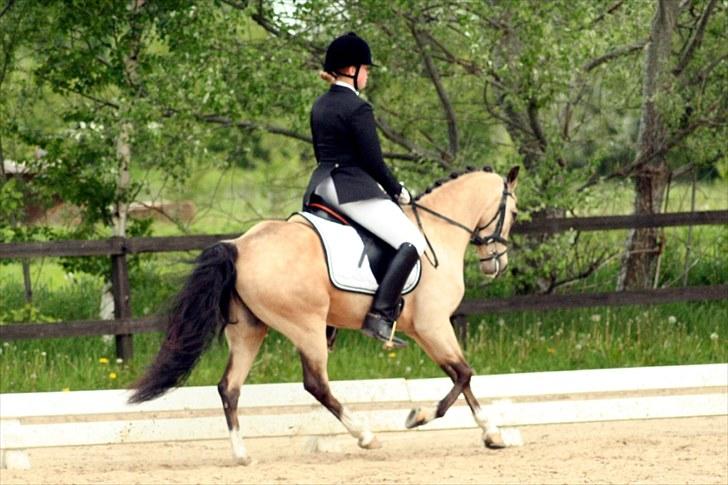 Rideklubben Falken d. 30.05.2010 - X-FAKTOR CUP FINALE billede 10